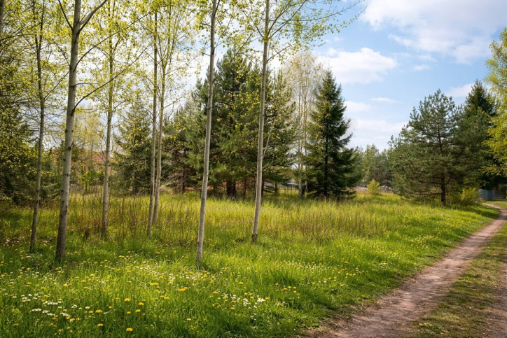 Działka Sprzedaż Białowieża 5