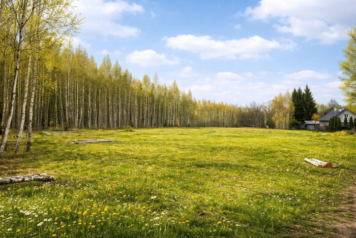 Działka Sprzedaż Białowieża 6