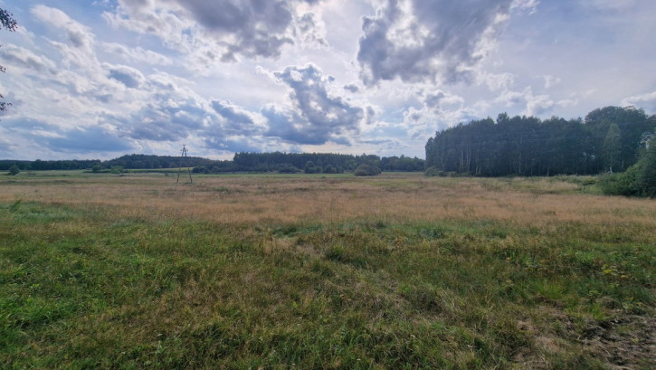 Działka Sprzedaż Drahle 4