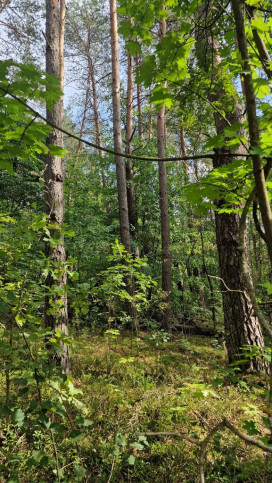 Działka Sprzedaż Drahle 2