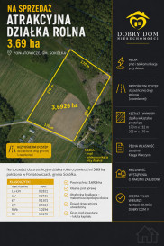 Działka 36926m2 Poniatowicze - widok główny