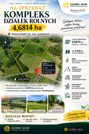 Działka 46814m2 Poniatowicze - widok główny