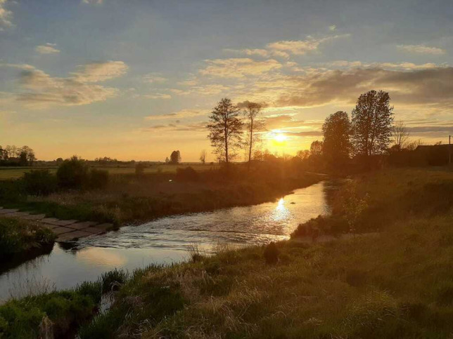 Obiekt Sprzedaż Kiersnówek 18