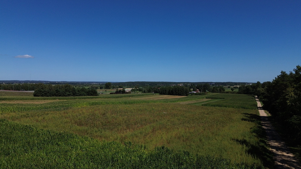 Działka inwestycyjna 3003 m² | Złotoria | S8