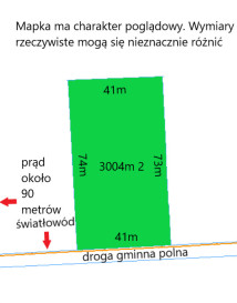 Działka 3003m2 Złotoria - zdjęcie od frontu