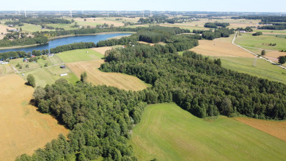 Działka 4763m2 Jemieliste — wnętrze 3