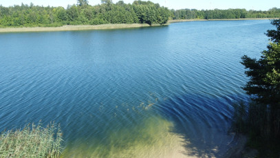Działka 4763m2 Jemieliste — zdjęcie 7 z 9
