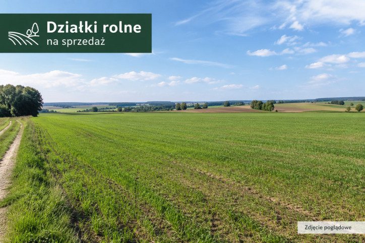 Działka Sprzedaż Odnoga-Kuźmy 1