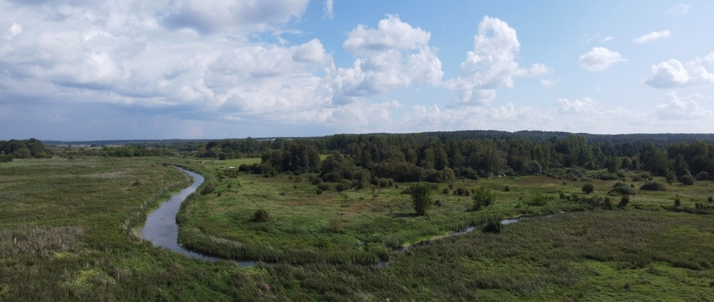 Nieruchomość rekreacyjna 2,3 ha z linią brzegową