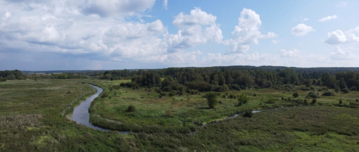 Działka Sprzedaż Jurowce 1