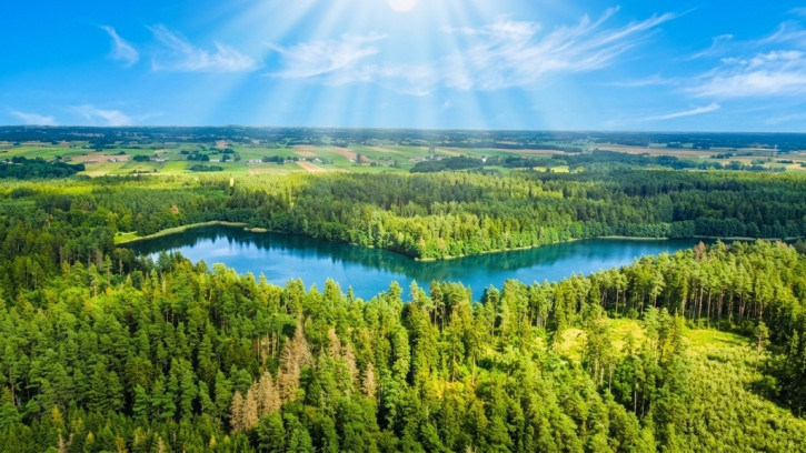Działka Sprzedaż Bakałarzewo 6
