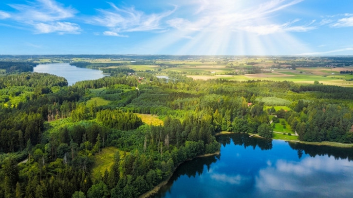 Działka Sprzedaż Bakałarzewo 3