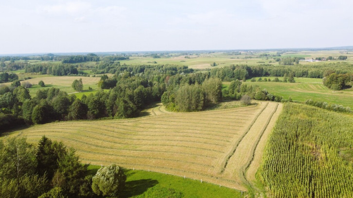 Działka Sprzedaż Rakówek 1