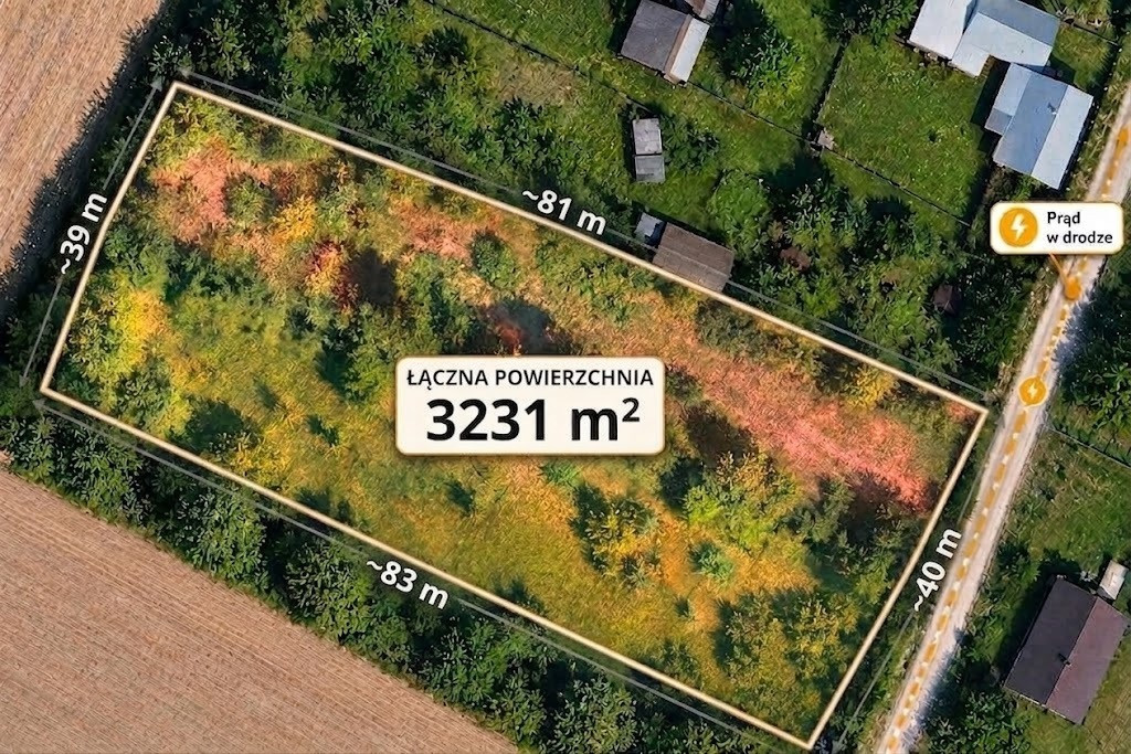 Tylwica -3200m² pod lasem. Natura na własność