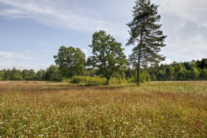 Działka Sprzedaż Bobrówka 7