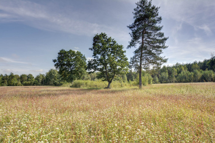 Działka Sprzedaż Bobrówka 8