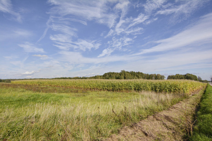Działka Sprzedaż Narew 2