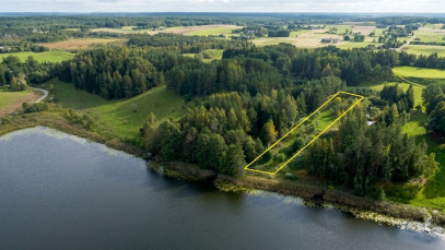 Działka 2858m2 Osinki — wnętrze 2