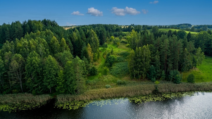 Działka Sprzedaż Osinki 4