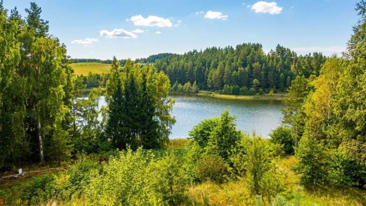 Działka Sprzedaż Osinki 1