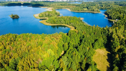 Działka 21277m2 Krzywe — wnętrze 3