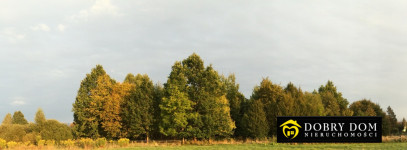 Działka 2800m2 Białowieża - widok główny