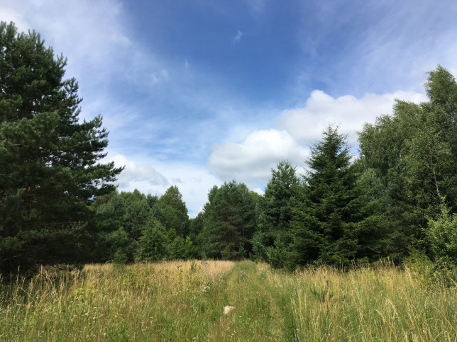 Działka Sprzedaż Białowieża 3