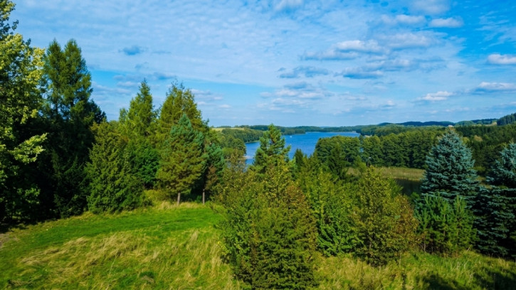 Działka Sprzedaż Wołownia 4