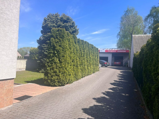 Lokal Sprzedaż Łomża 6