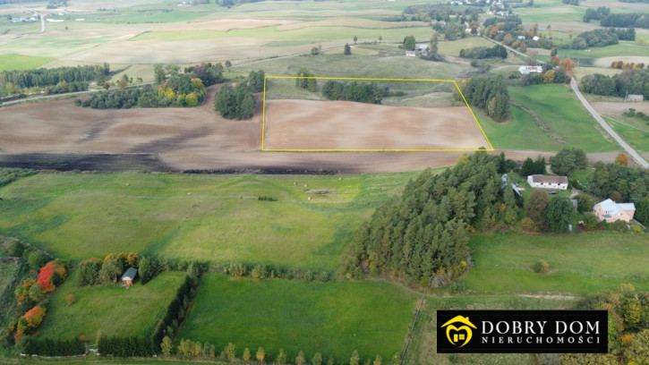 Działka Sprzedaż Daniłowce 6