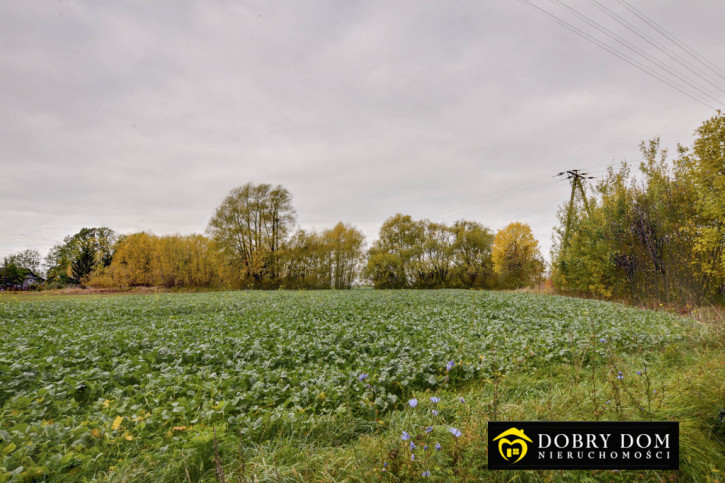 Działka Sprzedaż Bielsk Podlaski 1