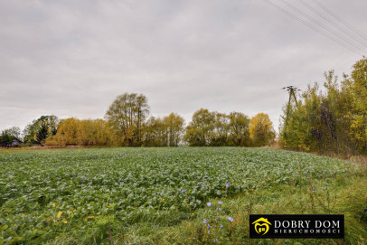 Działka 1020m2 Bielsk Podlaski - widok główny