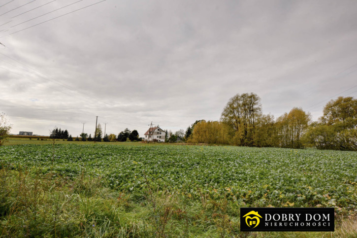 Działka Sprzedaż Bielsk Podlaski 2