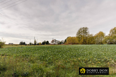 Działka 1020m2 Bielsk Podlaski - wnętrze 2