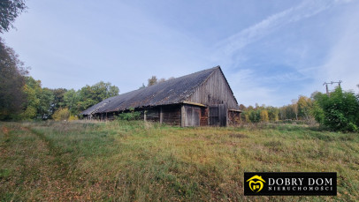Obiekt 514m2 Górka - wnętrze 3