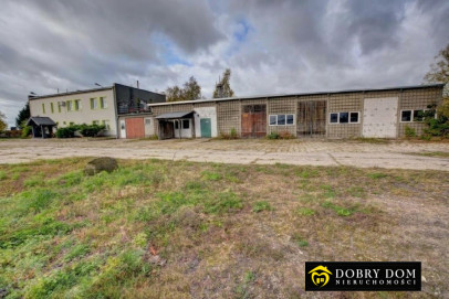 Obiekt 4230m2 Nowogród - zdjęcie 17 z 20