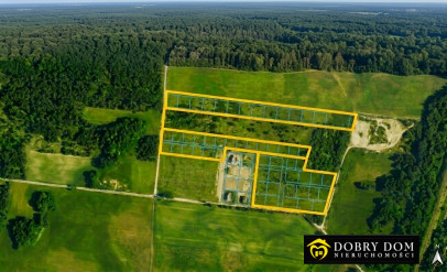 Działka 45000m2 Wólka-Przedmieście - zdjęcie od frontu