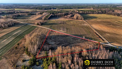 Działka 21500m2 Ryboły - zdjęcie od frontu