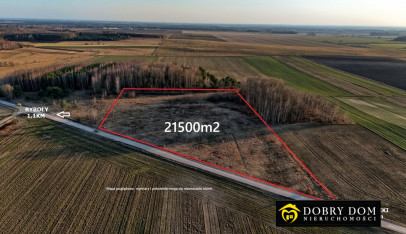 Działka 21500m2 Ryboły - widok główny