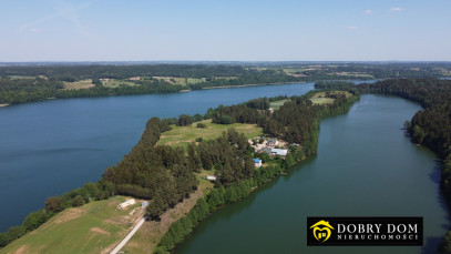 Działka 3300m2 Supienie - zdjęcie od frontu
