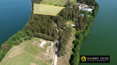 Działka 3300m2 Supienie - zdjęcie 5 z 5