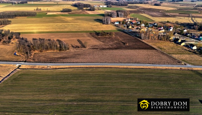 Działka 9033m2 Biele - wnętrze 2