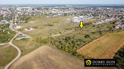 Działka 5264m2 Suwałki - wnętrze 3