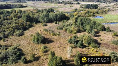 Działka 4110m2 Wasilków - zdjęcie 6 z 6