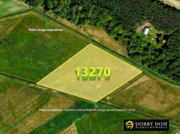 Działka 13270m2 Borsukówka - widok główny
