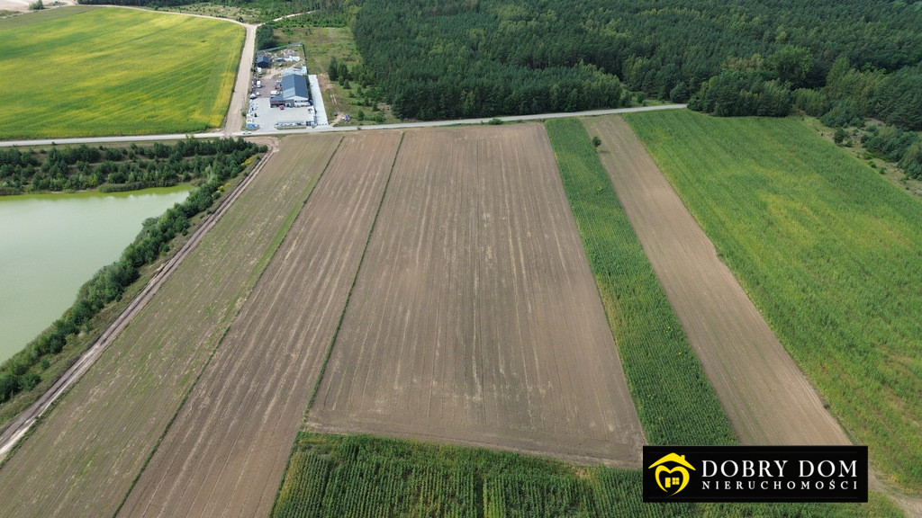 Działka 10000m2 Szumowo - zdjęcie od frontu