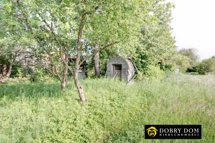 Dom Sprzedaż Białowieża 6