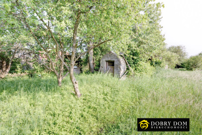 Dom 80m2 Białowieża - zdjęcie 6 z 17