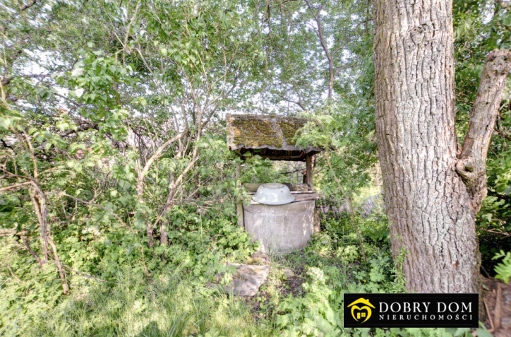 Dom Sprzedaż Białowieża 7