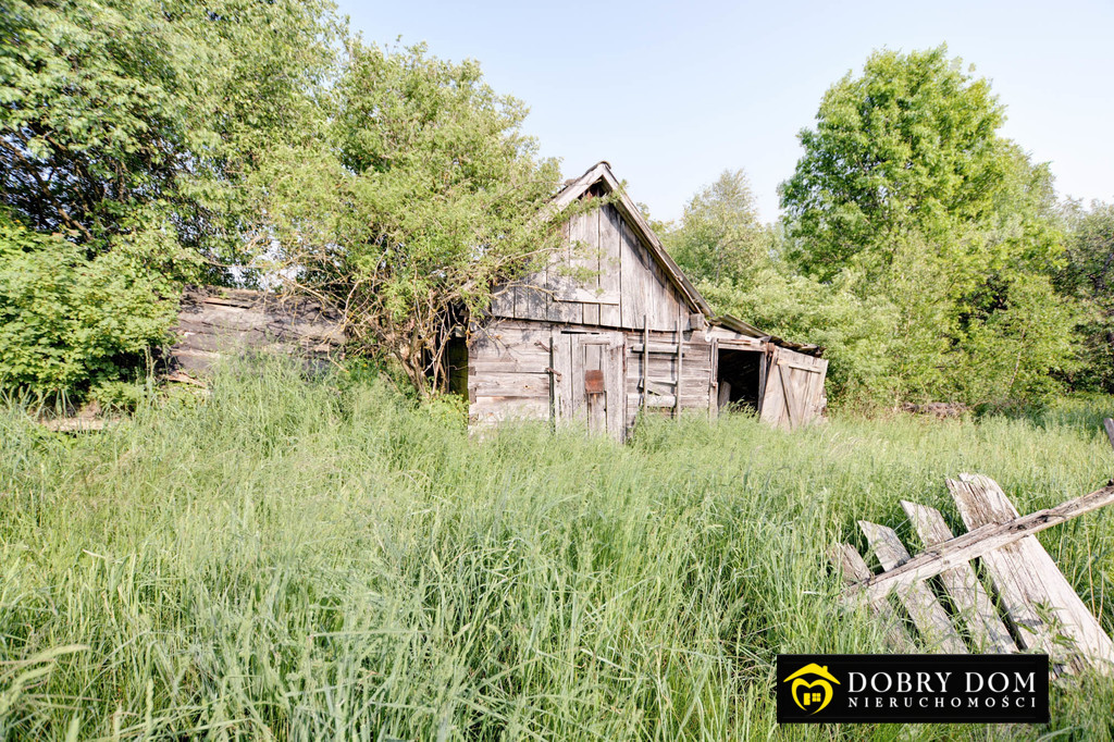 Dom 80m2 Białowieża - zdjęcie 9 z 17